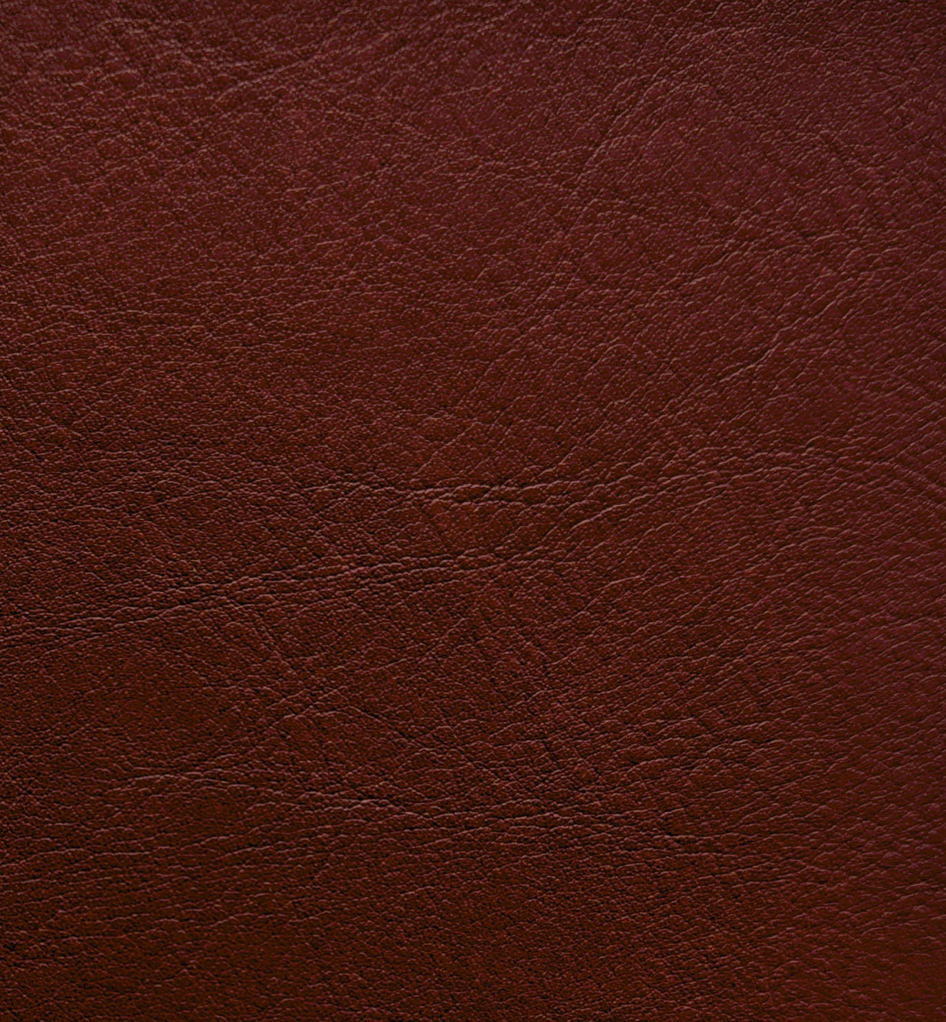 Venata Barolo